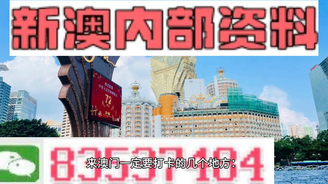 2024年新澳门王中王免费,探索新澳门王中王免费游戏世界，未来的机遇与挑战（2024年展望）