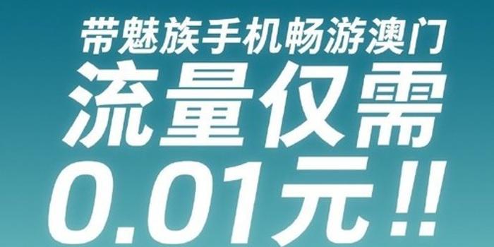 澳门天天免费精准大全,澳门天天免费精准大全——揭示背后的犯罪问题