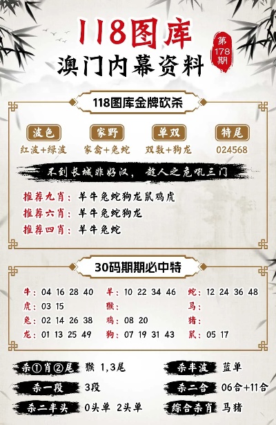 新澳门今晚开什9点31,新澳门今晚9点31分的期待与揭秘