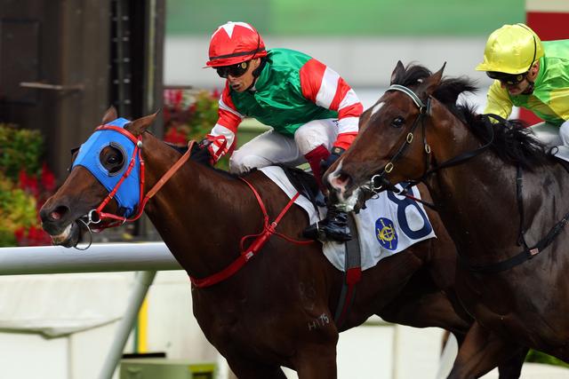 香港今晚开什么特马,香港今晚开什么特马，探索赛马文化背后的故事