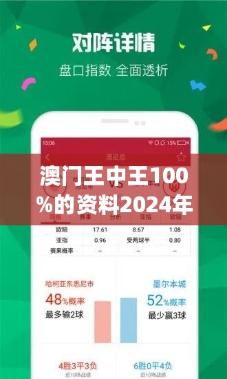 2025年新澳门王中王免费,探索澳门新纪元，2025年王中王免费现象